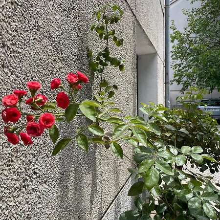 Apartment Dalia